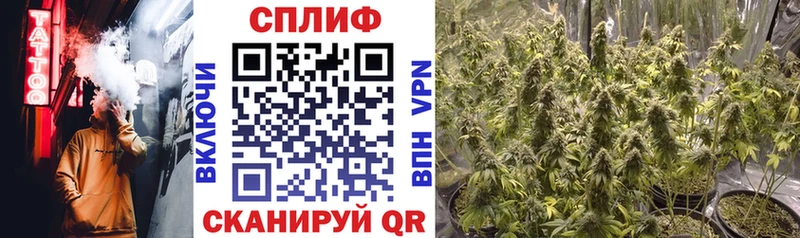 Продажа наркотиков Сокол COCAIN  Каннабис  Мефедрон  ГАШ 