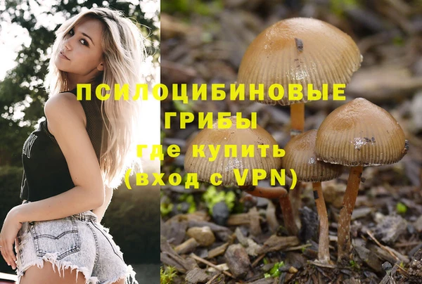 а пвп мука Касимов
