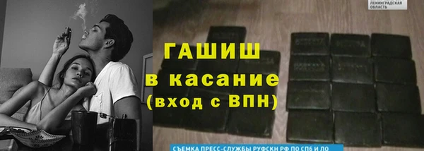 сатива Каменногорск