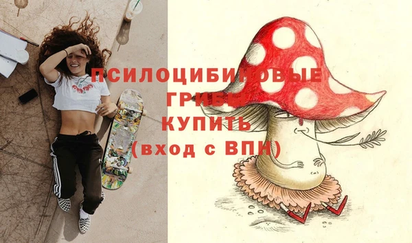 марки lsd Карпинск