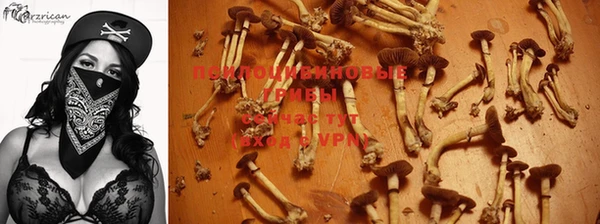 бутират Каменка