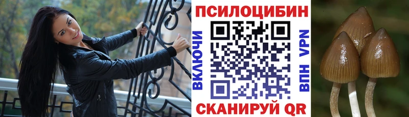 Галлюциногенные грибы мухоморы  Сокол 