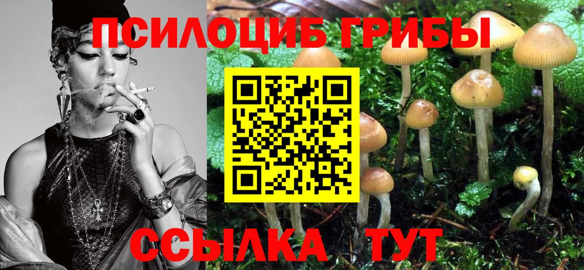 Галлюциногенные грибы Psilocybe  Вход с VPN  Сокол  Галлюциногенные грибы мухоморы 